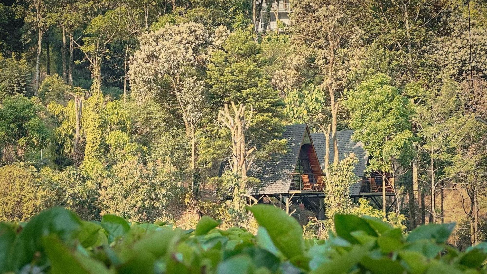 Forestscape Resort ムンナール エクステリア 写真