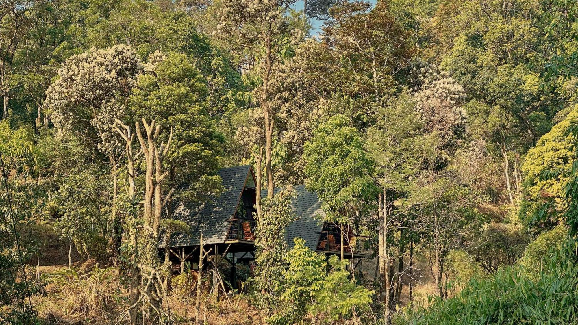 Forestscape Resort ムンナール エクステリア 写真