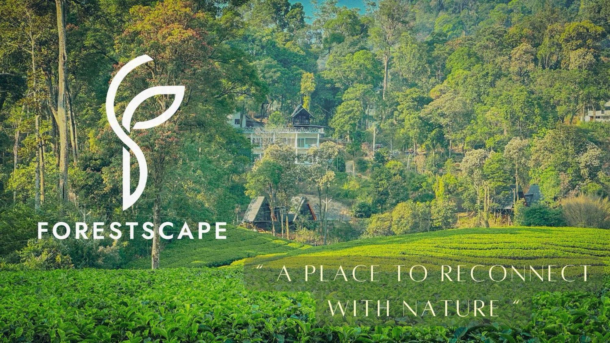 Forestscape Resort ムンナール エクステリア 写真